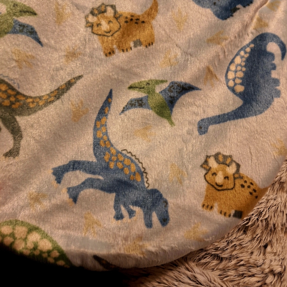 Baby swaddle boy, gift, dinosaur print.